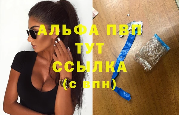ПСИЛОЦИБИНОВЫЕ ГРИБЫ Осинники